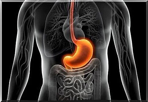 5 natural drinks for the treatment of gastritis