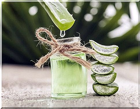 Treatment with aloe vera and vitamin E: another of the natural remedies to eliminate warts