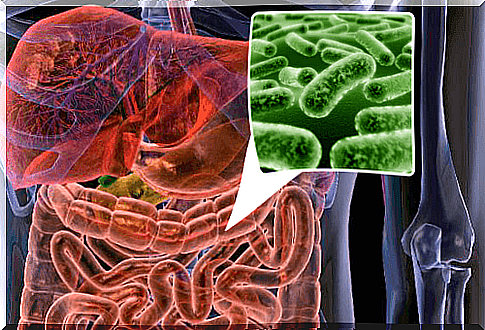 Intestinal flora