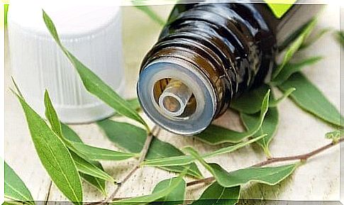 Tea tree oil