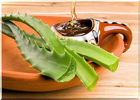 Aloe vera and honey