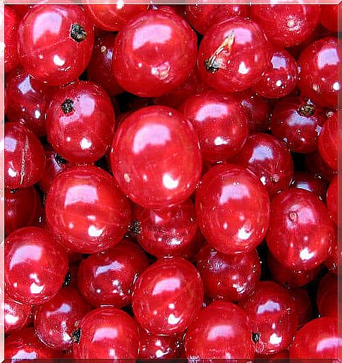 cranberry - anti-aging fruits