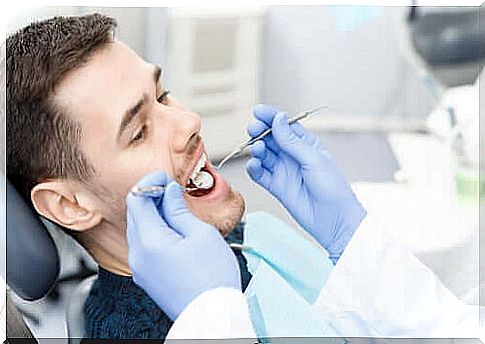 Bacteria that cause tooth decay: which ones and how to prevent them