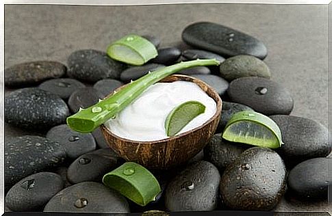 Hair mask based on aloe vera and coconut milk