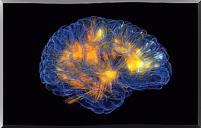 Brain and neurons