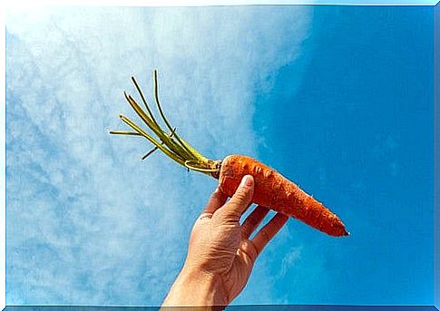 Virtue of the carrot.