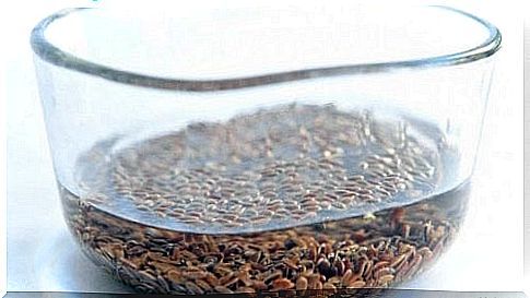 flax seed