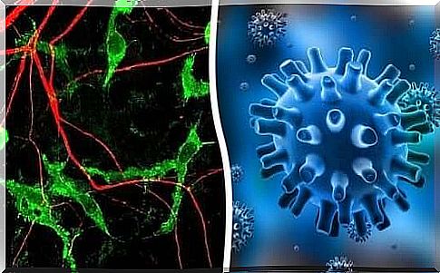 Herpes virus and herpetic keratitis