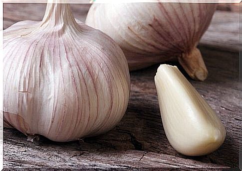 Garlic