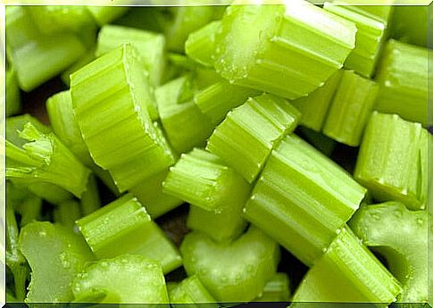 celery cut into pieces