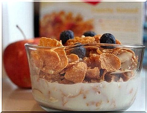 Yogurt and cereals with blueberries