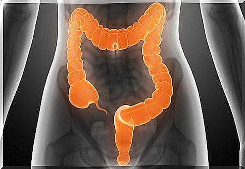 Irritable colon problem: solve it with juices and infusions