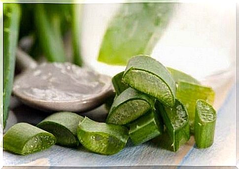 Aloe vera for inflamed stomach