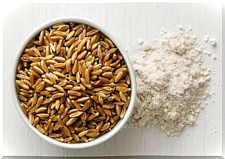 Bowl with kamut seeds and flour.