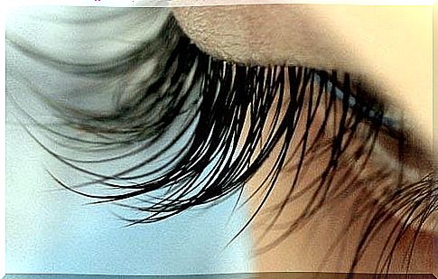 Close-up of eye with long eyelashes