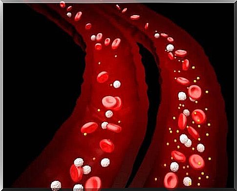 Metabolic acidosis and blood flow