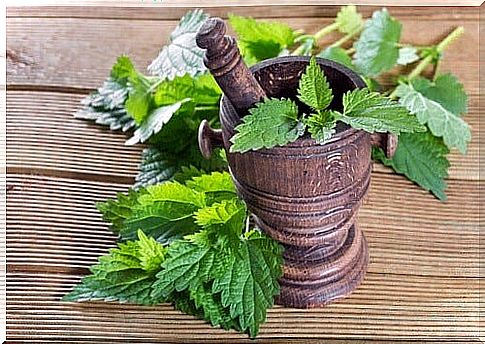 Mortar with nettle