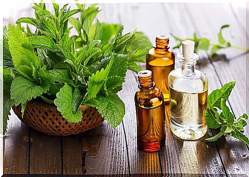 Mint essential oil