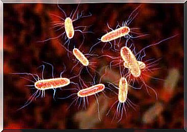 Presence of bacteria in the blood and septic arthritis.