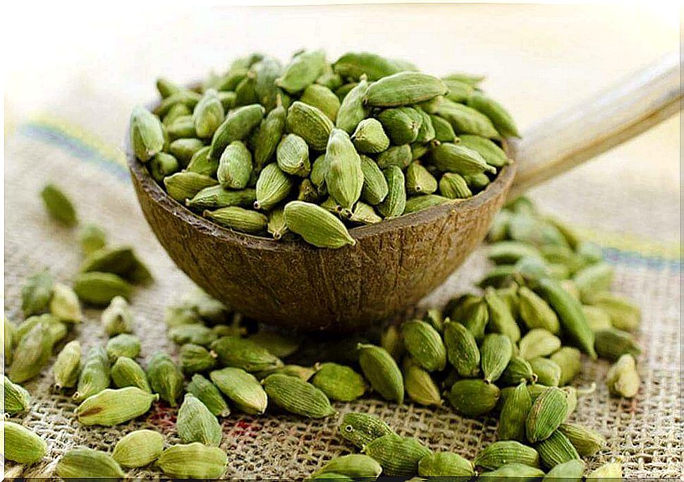 Cardamom