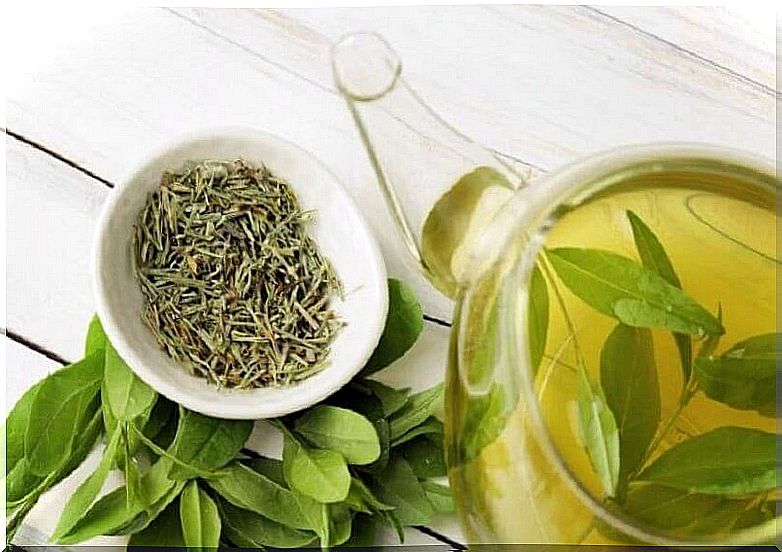 Green tea infusion