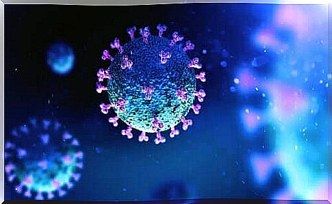 Viruses and bacteria differences